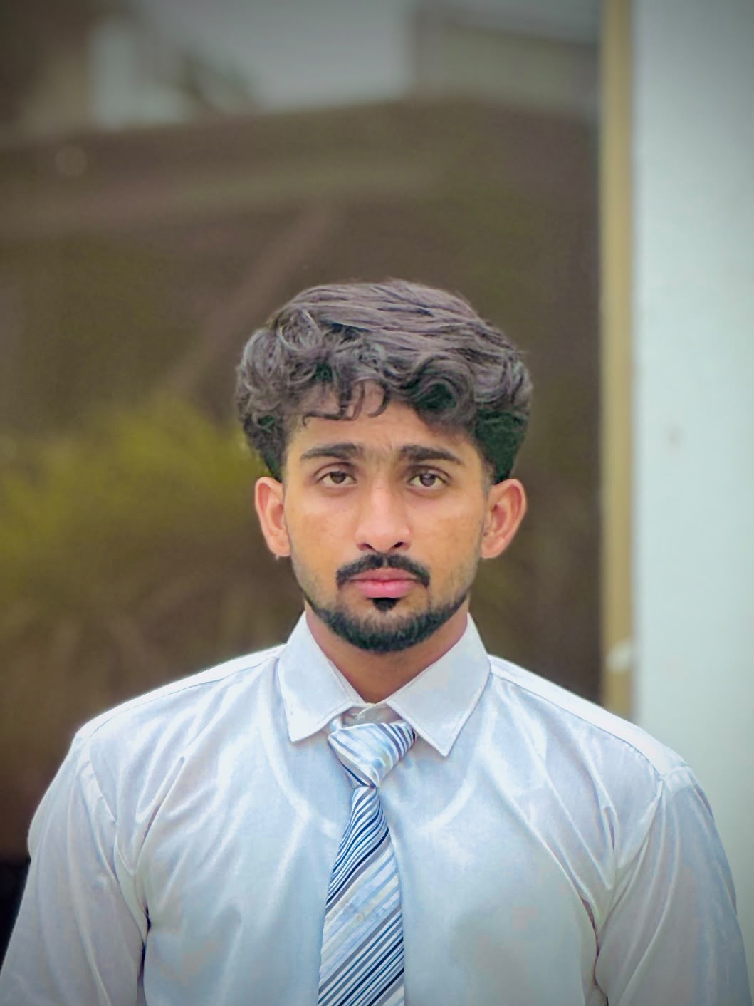 Muhammad Faizan — Frontend Developer